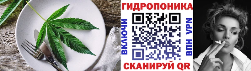 Canna-Cookies марихуана  Купить  Морозовск 