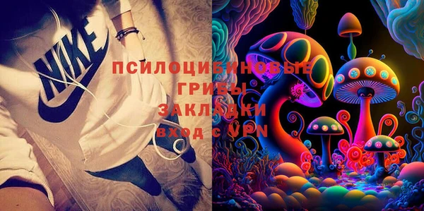 мескалин Елабуга