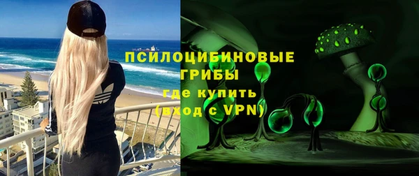 мескалин Елабуга