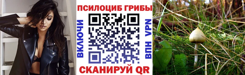 Галлюциногенные грибы мицелий  Купить закладки  Морозовск 